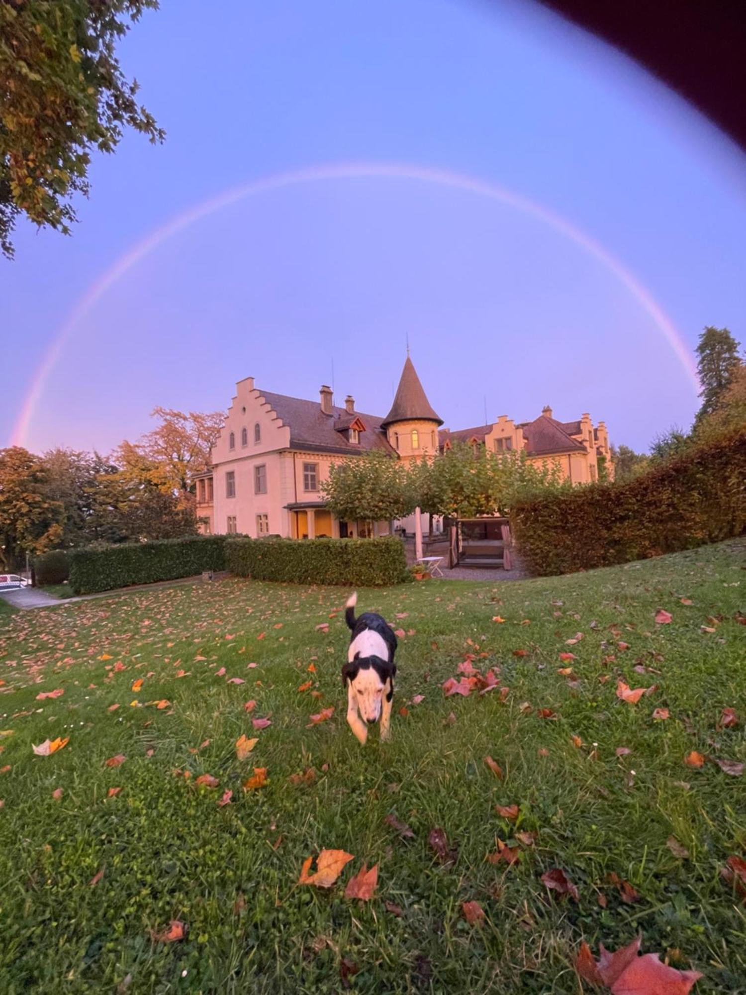 Schloss Brunnegg Hotel Кройцлинген Екстериор снимка